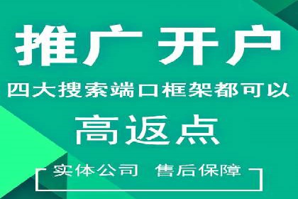 解析某某SEM服务公司的广告投放策略与效果评估